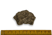 F 00819
<br/>
<br/>
<em></em>
